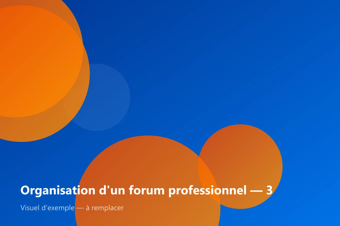 Organisation d'un forum professionnel — visuel d'exemple 3