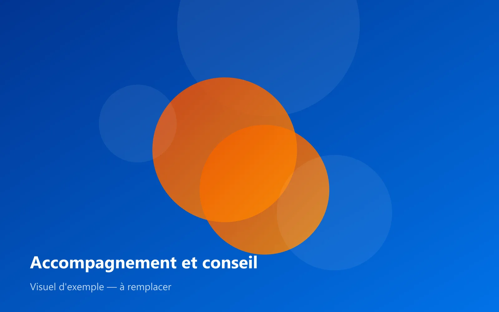 Accompagnement et conseil